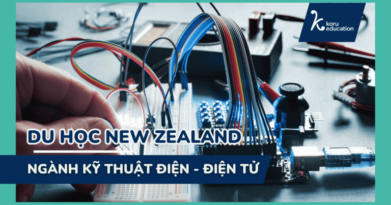 Học Kỹ thuật điện - điện tử tại new Zealand