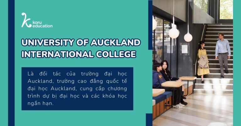 University Of Auckland International College