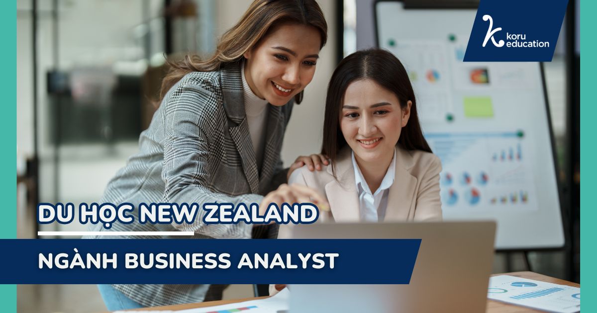 Du học New Zealand ngành Business Analyst