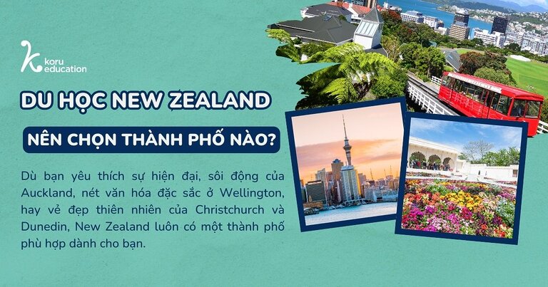 Du học New Zealand nên chọn thành phố nào