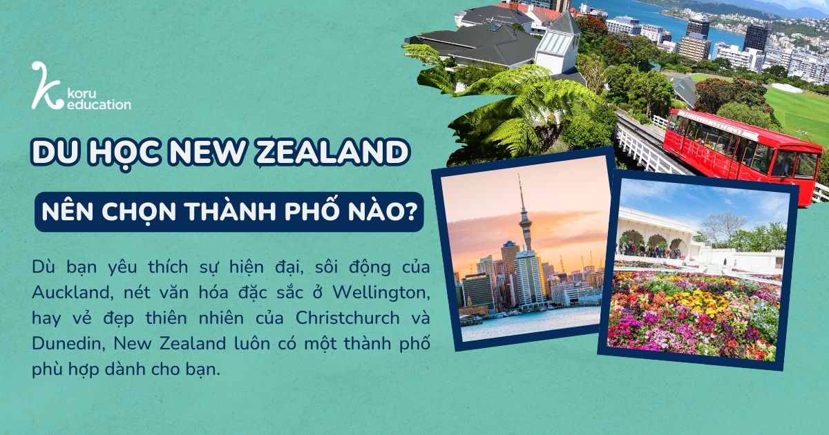 Du học New Zealand nên chọn thành phố nào